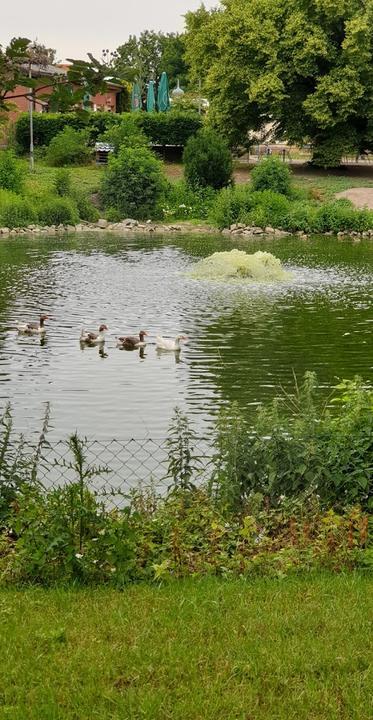 Gaststaette Zum Vogelpark